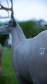 QuivAR Enabled Mule Deer