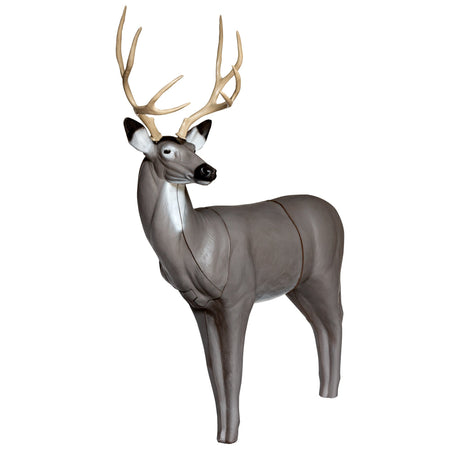 QuivAR Enabled Mule Deer