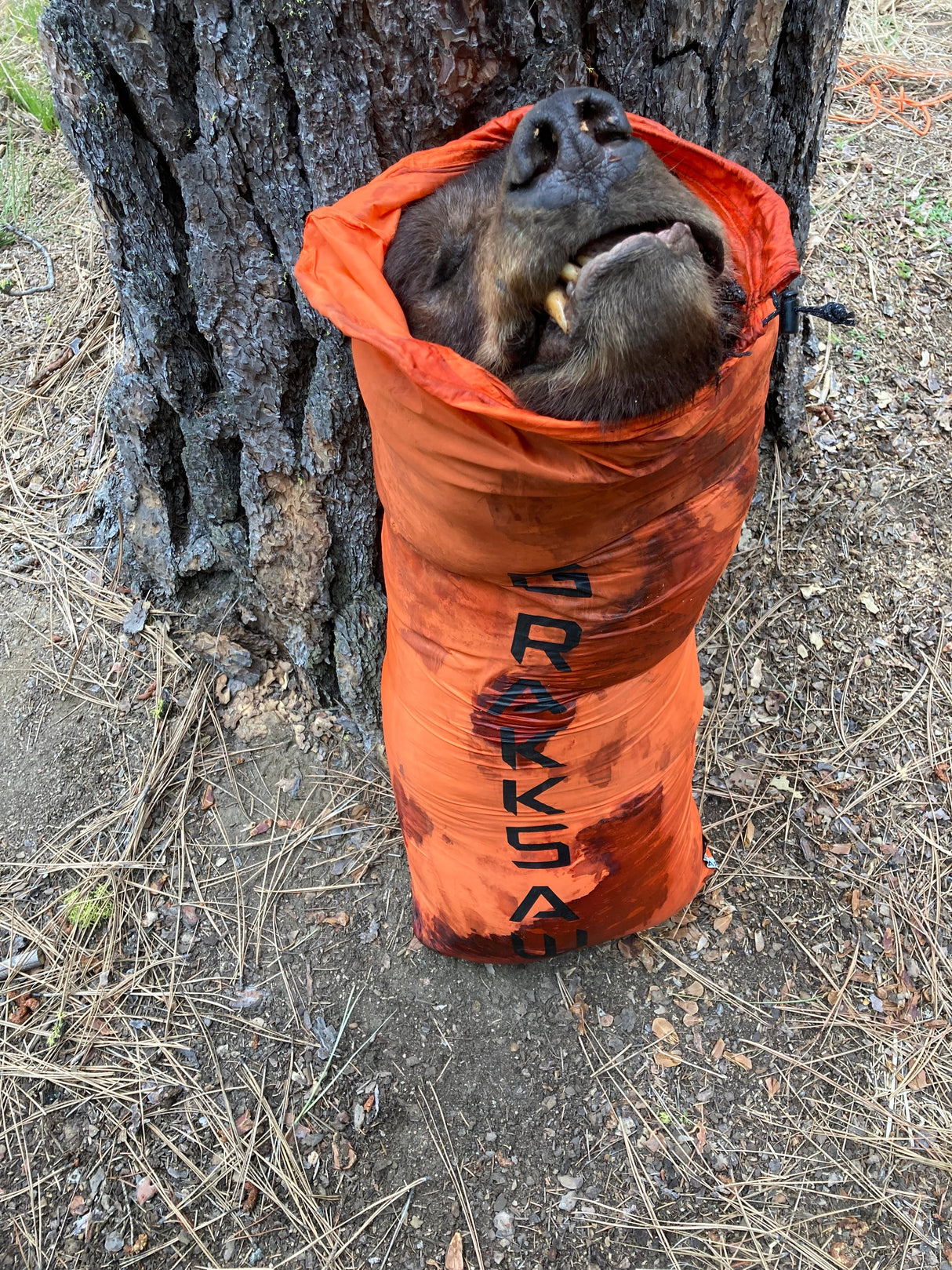 Ultralight XL Game Bags