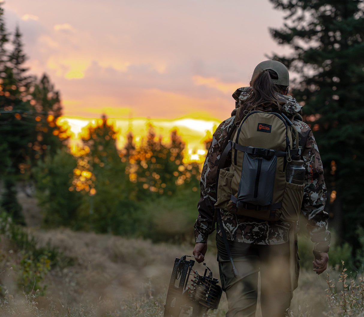 The Scout