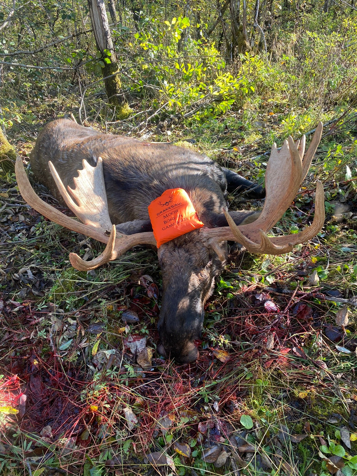Moose Game Bags