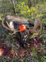 Moose Game Bags