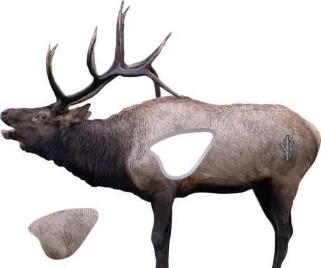 2D Bull Elk Broadside Target