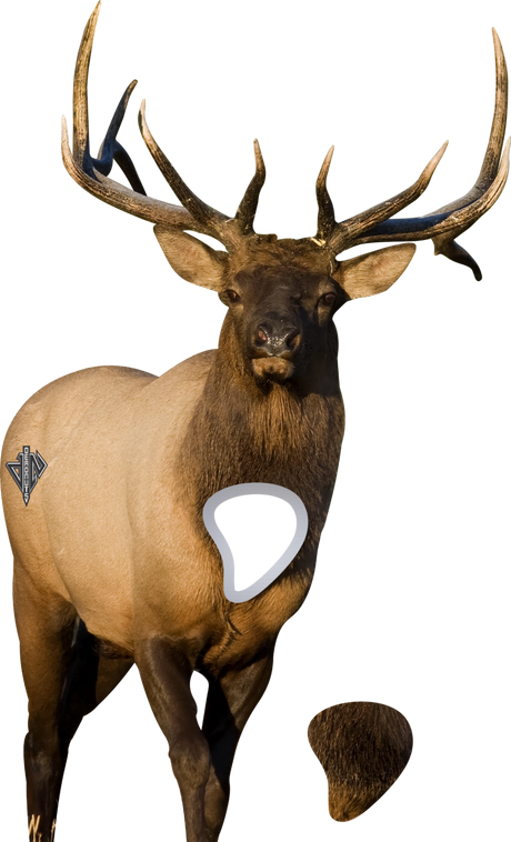 2D Bull Elk Frontal Target