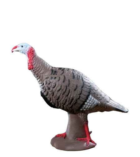 Rinehart Tom Turkey