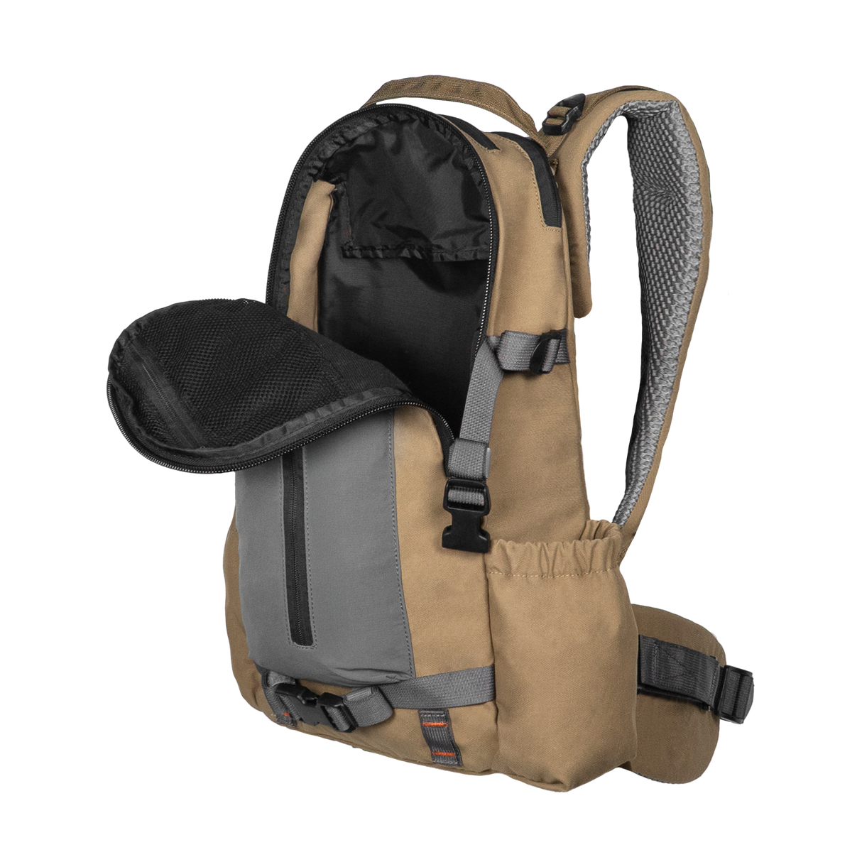 The Scout