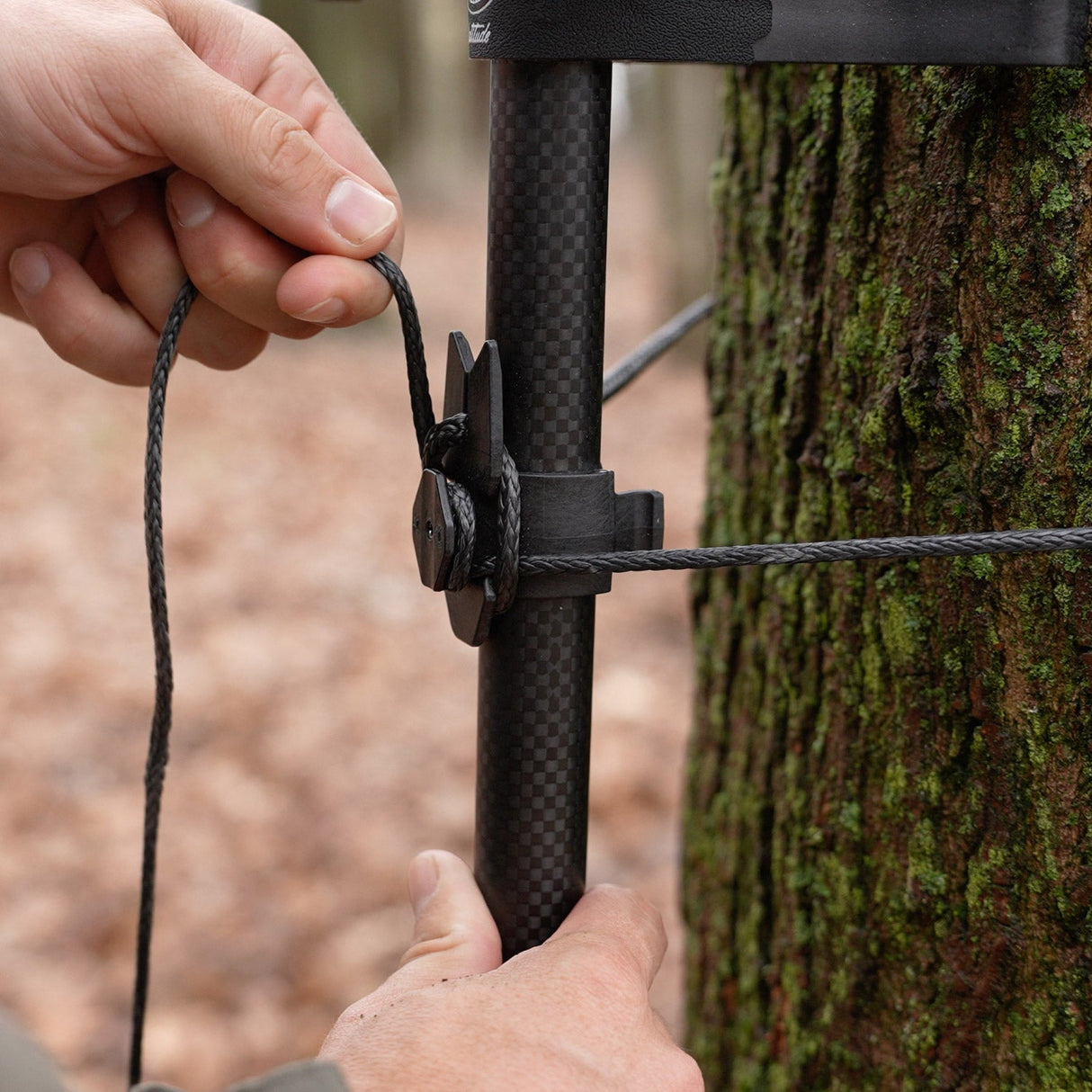 Carbon Synergy Climbing Sticks