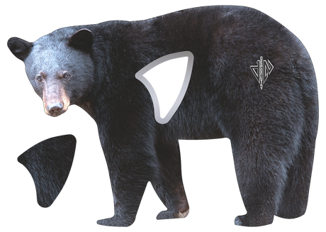 2D Black Bear Broadside Target